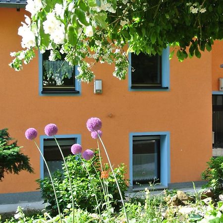 Ferienwohnung Zur Muehle Sotzweiler Extérieur photo