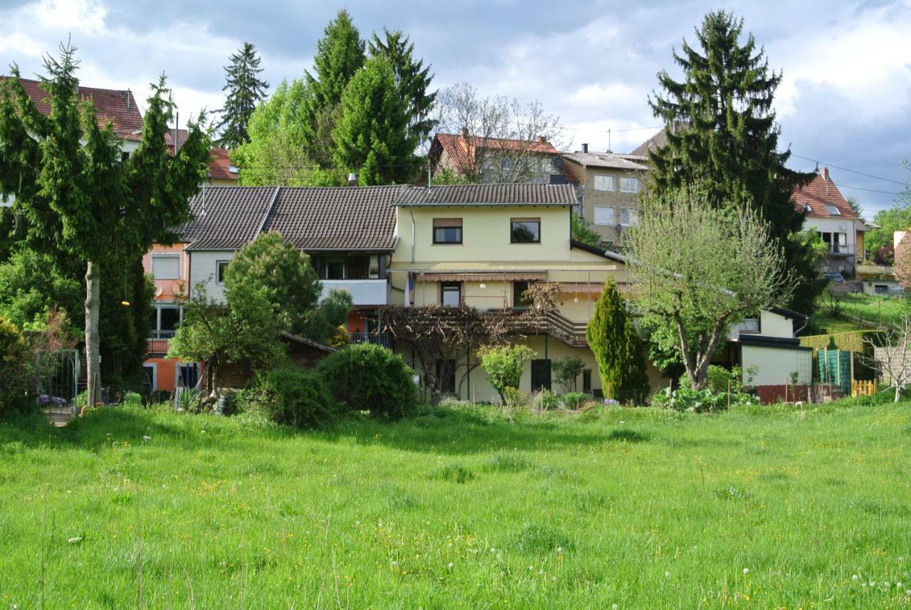 Ferienwohnung Zur Muehle Sotzweiler Extérieur photo