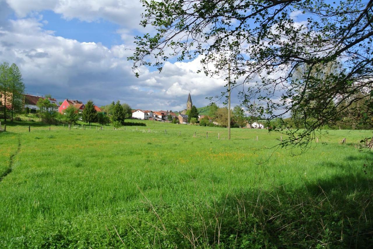 Ferienwohnung Zur Muehle Sotzweiler Extérieur photo