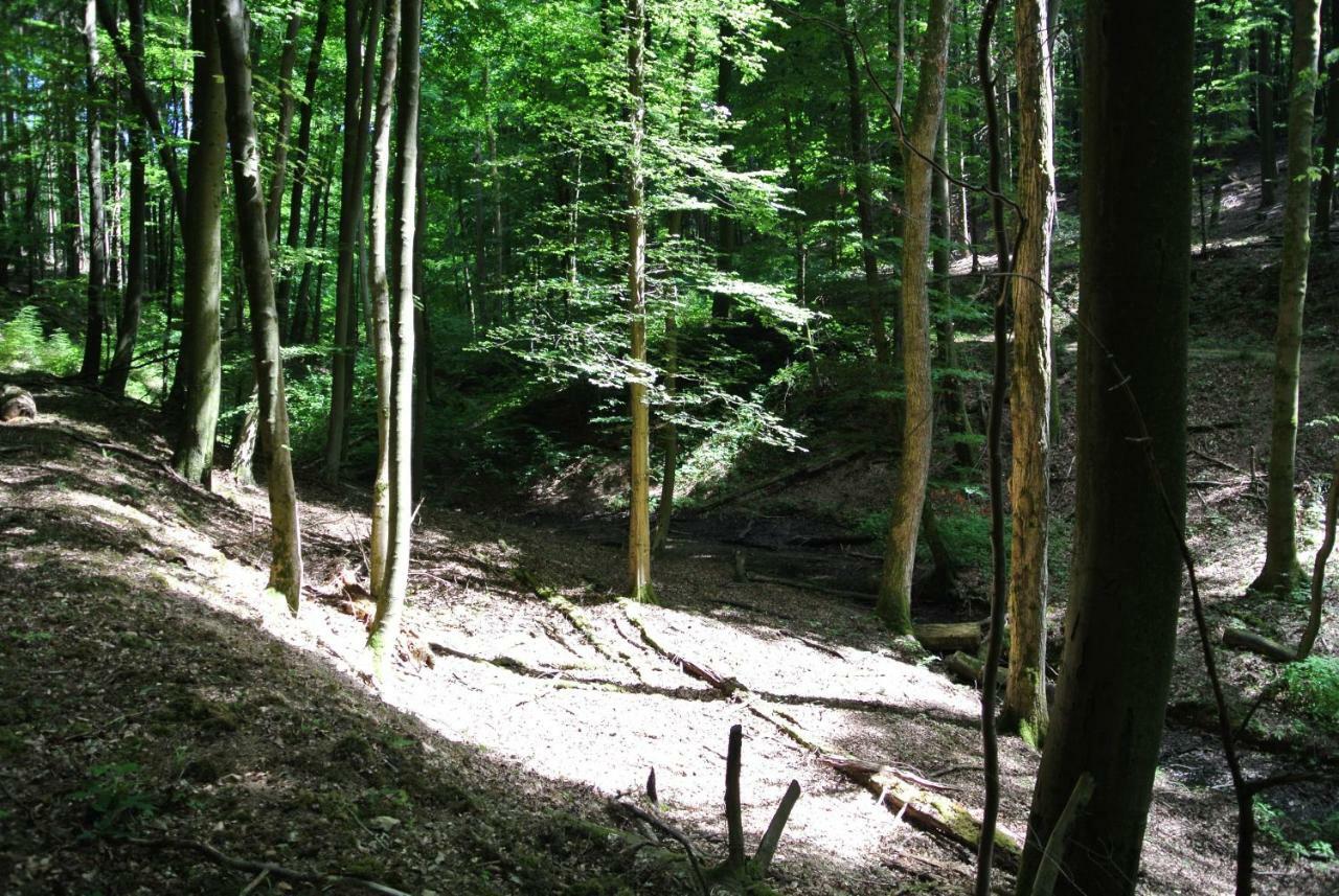 Ferienwohnung Zur Muehle Sotzweiler Extérieur photo