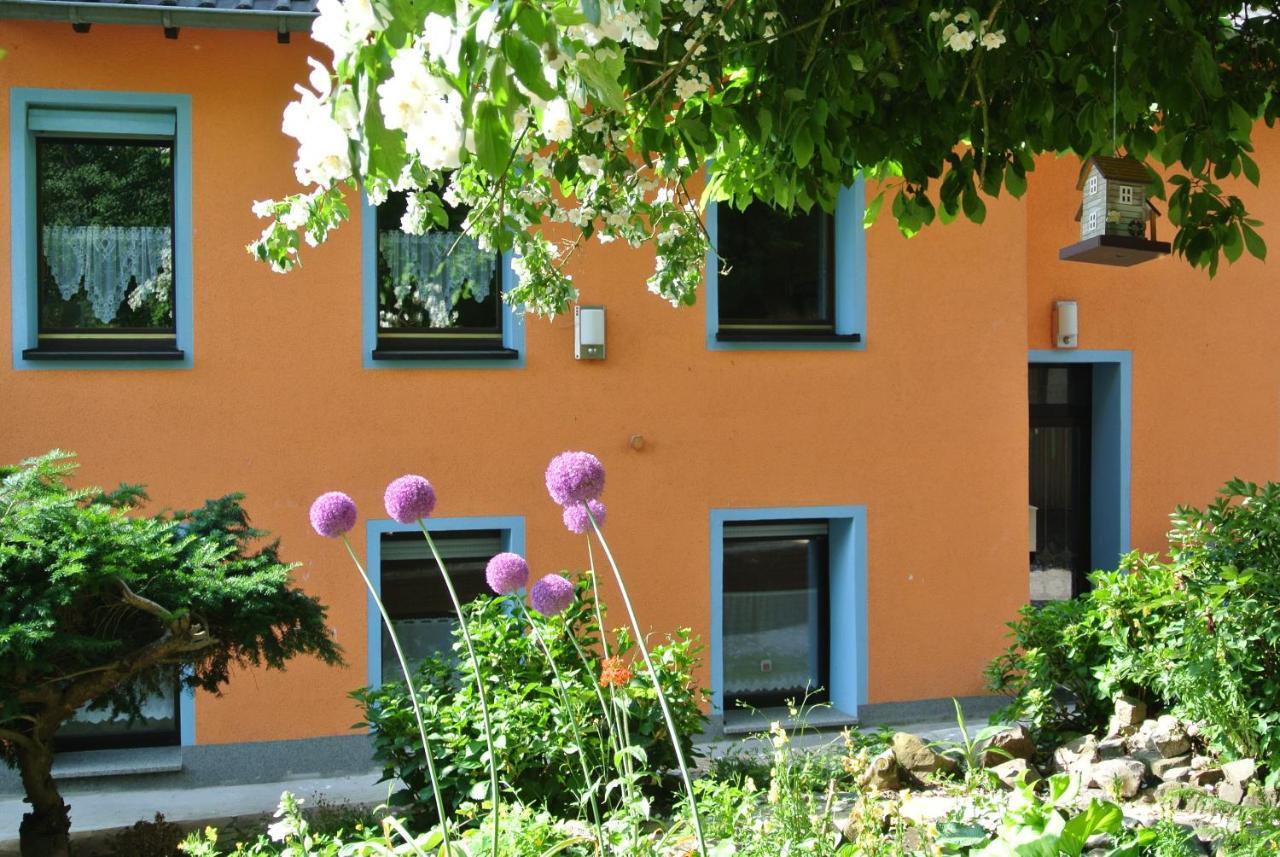 Ferienwohnung Zur Muehle Sotzweiler Extérieur photo